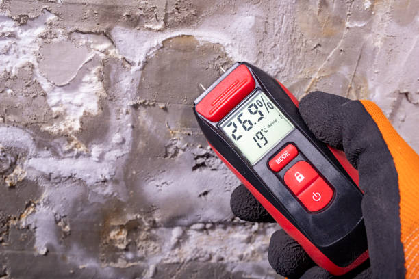 Best DIY Mold Remediation Support Services in Tenaha, TX