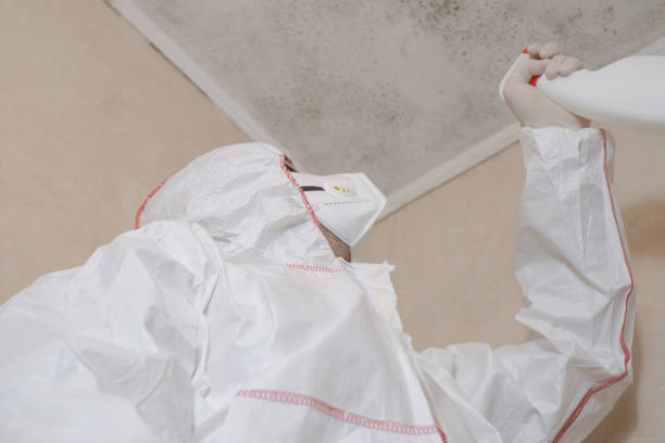 Best Industrial Mold Remediation in Tenaha, TX